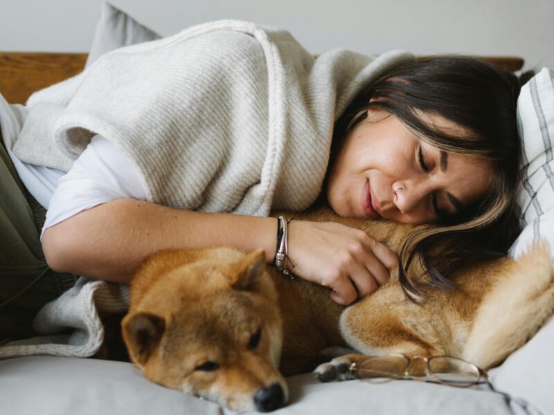 Zdjęcie do artykułu: Co mówi pies? 20 sygnałów uspokajających, które musisz znać