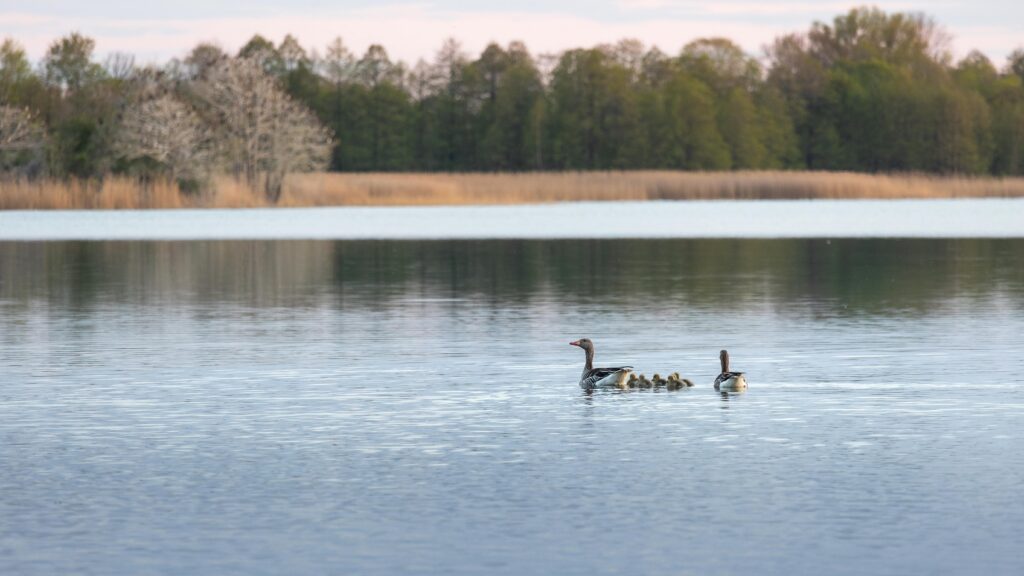 Zdjęcie do artykułu: Mazury – przewodnik po krainie tysiąca jezior