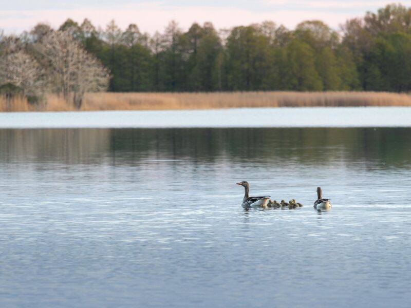 Zdjęcie do artykułu: Mazury – przewodnik po krainie tysiąca jezior