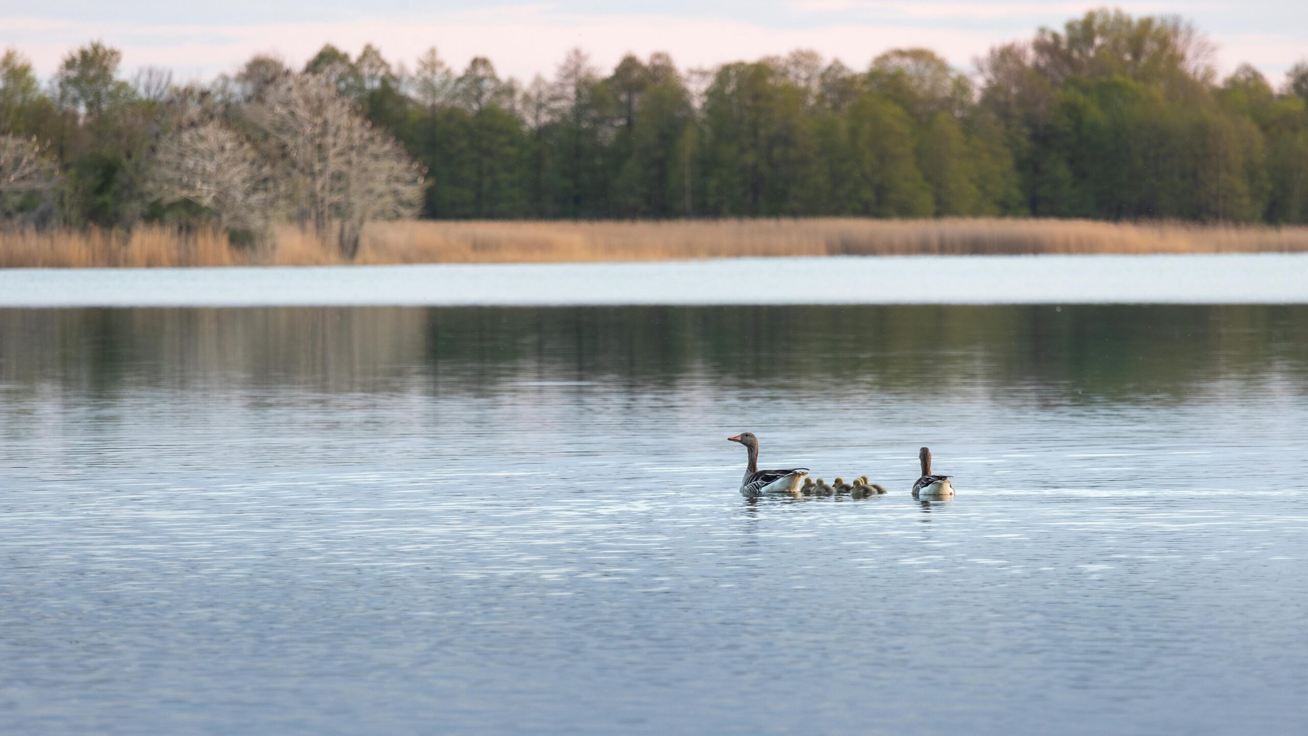 Zdjęcie do artykułu: Mazury – przewodnik po krainie tysiąca jezior